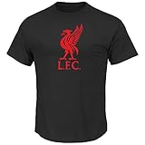 Liverpool Football Club F.C. Men's Triple Peak Official Logo T-shirt