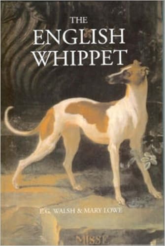 Address Book Dates Section Choice Of 3 Colours Gift N Whippet