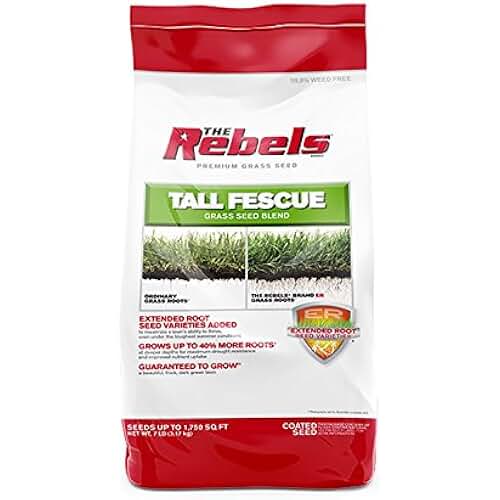 rebels grass seed