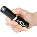 Stun Master® Lipstick Stun Gun Woman's Home Self Defense Weapon (Black)