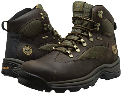amazon timberland chocorua