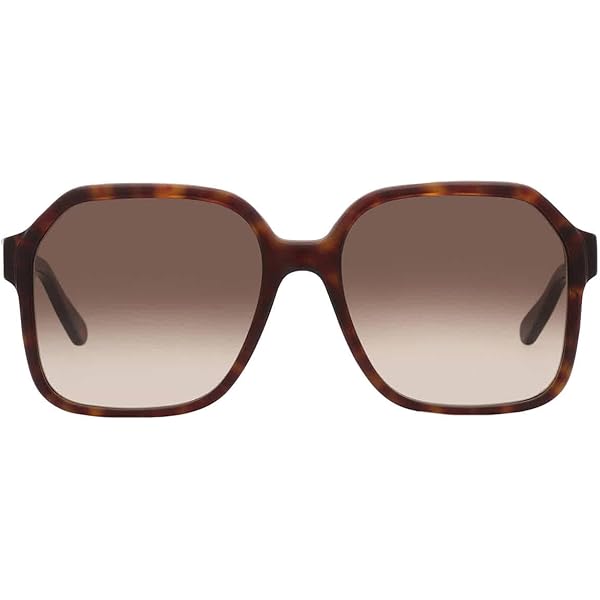 Ferragamo Women's Sf1069s 56Mm Sunglasses, Brown at Amazon Women's