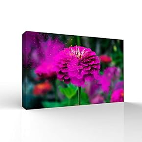 Beautiful Flowers Pictures Home Wall for Bedroom Living...