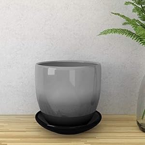 Home Centre Cairo Ombre Solid Table Planter with Saucer (Grey)