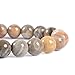 Natural Coral Fossil Petoskey Stone Gemstone 8mm Round Beads Stretch Bracelet 7 Inch Unisex