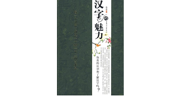 汉字的魅力 你真的认识和了解汉字吗 沧浪 Amazon Com Books