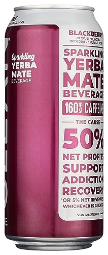 CLEAN CAUSE, YERBA MATE BLACKBERRY ORGANIC, 16 FL OZ