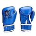 Dtown Kids Boxing Gloves 6oz Boys Gloves for Children Age 7 to 12 Years PU Leather Blue
