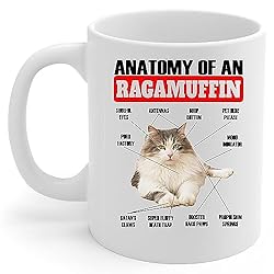 Lovesout Funny White Brown Tabby Ragamuffin Cat
