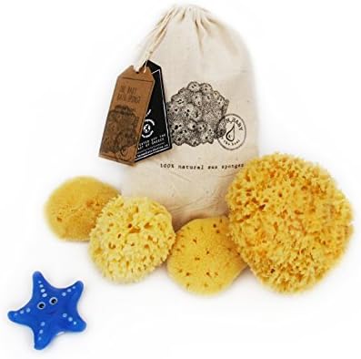 H2Baby Natural Baby Bath Sea Sponge Set, Value Pack (Pk of 4 Sponges)