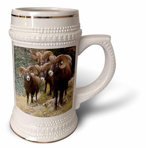 3dRose Group of Rocky Mountain Bighorn Sheep Rams - Stein Mug, 18oz , 22oz, Whi…