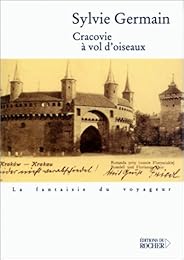Cracovie à vol d'oiseaux