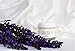 DMAE Lift & Firm Face & Neck Cream 77% Organic with MSM Vitamin C For Dry Skin, Fine Lines, Wrinkles, Helps Lift, Firm, Boosts Collagen, Soften & Smooth Skin Vegan pH Balanced 2.5oz