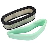 Podoy 394019 Air Filter for Briggs & Stratton Lawn Mower 272490S 394019S 398825 24150 4136 AM38990 24150
