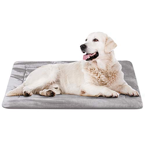 JoicyCo Dog Beds for Medium Dogs Crate Bed Mat 35 in- Washable Anti-Slip Soft Fleece Mattress Kennel Pads Luxury Color,Grey M