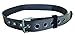 3M DBI-SALA ExoFit 1000709 Tongue Buckle Belt, No D-Ring Or Hip Pad, Medium, Grey
