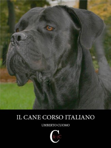 Il Cane Corso Italiano Cinofilia E Cultura Cinofila Vol 1