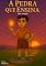Livro A Pedra que Ensina: Uma jornada sobre Resiliência (A Primeira Jornada Livro 9)