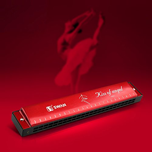image for Ladnis Harmonica C 24 Holes Mouth Organ Best Gift For Professional Pla