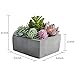MyGift Assorted Colorful Artificial Succulents in Grey Cement Pot, Fake Plants for Bedroom Aesthetic