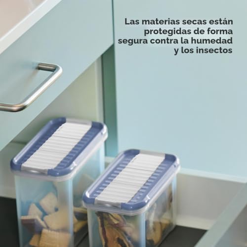 DOMINO - Juego de 24 botes de almacenamiento con tapa hermética, aptos para lavavajillas, transparente/azul
