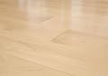 One Piece Of 8" Sample Greenland Premium 7-Layer Engineered Hardwood Maple Natural Flooring (8 inch sample)