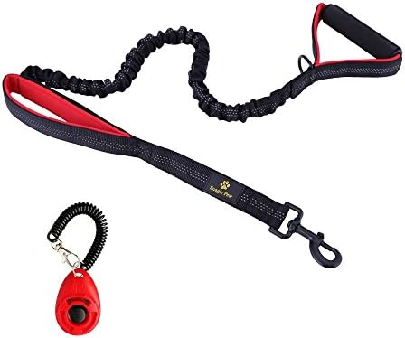 Heavy Duty Dual Handle Dog Leash, No Pull Shock Absorbing Reflective Double Lead Padded 2 Handles for Traffic Safety Control with Dog Training Clicker, 4-6 Feet, Perfect for Medium to Large Dogs