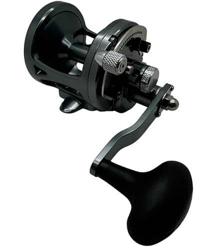 Avet Raptor Dual Drag Reel with Magnetic Cast Control, Black : Sports & Outdoors