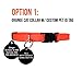 Kitty Convict Personalized Cat ID Collars (Orange Cat Collar w/Custom Pet ID Tag)