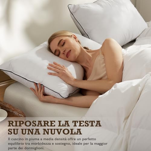 BPC Organic Feather and Down Pillow, 50 x 75 cm, Set of 2, Luxury 3 Bedroom Hotel Bed Pillow, 50 x 75 cm Cushion with 100% Cotton Cover, White