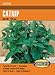 Heirloom Catnip