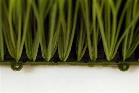 Living Whole Foods Artificial Wheat Grass- Fake Soft PVC Plastic Decorative Wheatgrass: Ornamantal Flower Arranging & Home Decor - 6"x6"x4"