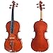 Cecilio 3/4 CVN-200 Rosewood Fitted Solid Wood Violin