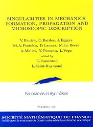 Singularities in mechanics