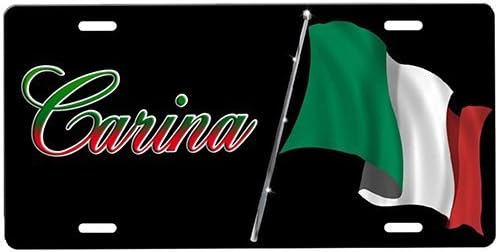 Italian Flag License Plate
