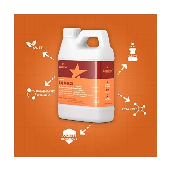 LawnStar Chelated Liquid Iron (32 OZ) For Plants Multi