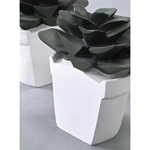 Time Concept Bibury Resin Liberty Farm Cactus Bookends Organizer - Book Organizing Tool