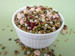 Sprout Lady Rita's Favorite Bean Certified Organic Non-GMO Sprouting Seed Mix with Fenugreek One Pound (price includes shipping)