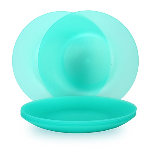 Reusable Plastic Dinner Plates. Amuse Unbreakable and Reusable Plastic