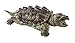 Safari Ltd Incredible Creatures Alligator Snapping Turtle