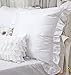 Queen's House 2-Piece White Euro Shams