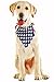 American Flag Pet Bandana - 4th of July Sale Handmade Large Dog or Cat Handcrafted Flag Design Bandana for Pets,