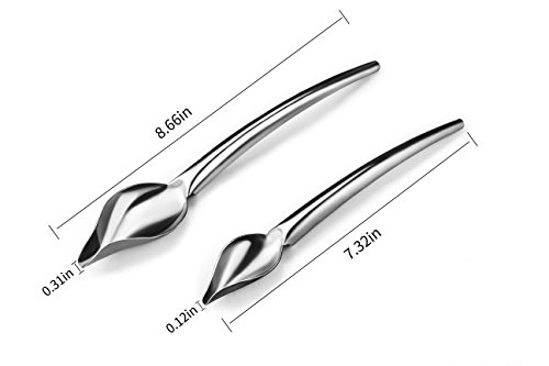Dcrt Deco Spoon Multi-use Precision Chef Culinary Drawing Spoons for Decorating Plates, set of 2