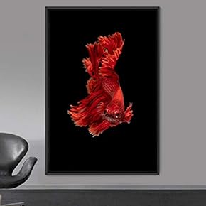 signwin Framed Canvas Wall Art Fish Bedroom Colorful...