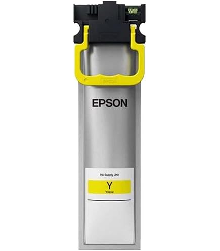 Amazon.com: Epson DURABrite Ultra T902XL220 -Ink Pack - High