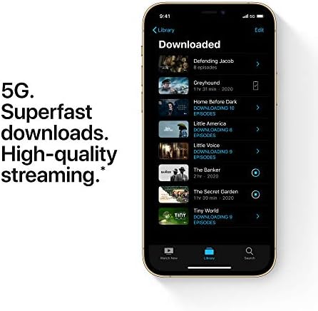 Apple Iphone 12 Pro Max With Facetime 256gb 5g Gold International Version Buy Online At Best Price In Uae Amazon Ae