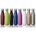 KING DO WAY Double Wall Vacuum Insulated Stainless Steel Water Bottle, 17 oz - Red