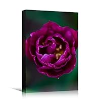 Canvas Wall Art Purple Petal Close Up Bedroom Close Up Colorful Floral Multicolor Petal Photography Romantics - 12x18 inches