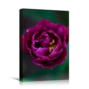 signwin Canvas Wall Art Purple Petal Close Up...