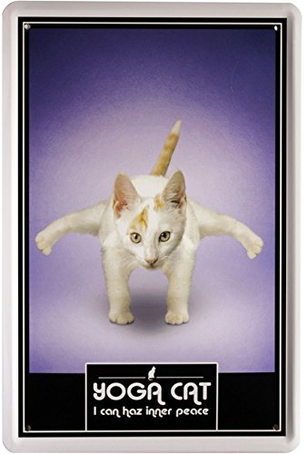 Tin Sign with Retro Comic Yoga Cat 20 x 30 cm 1207